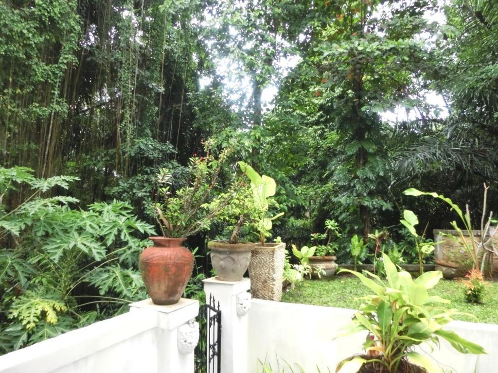 Latugu Homestay Ubud Cameră foto